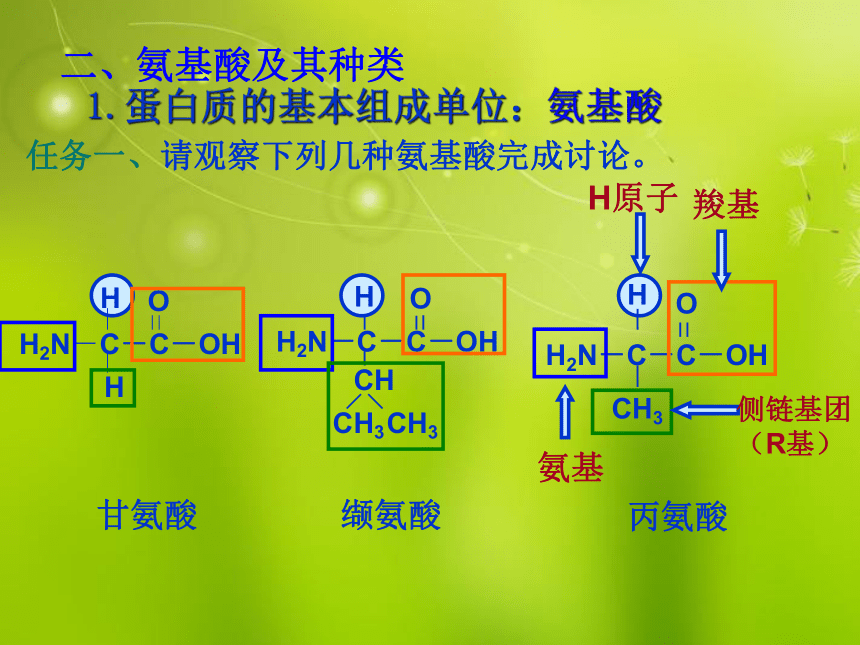 人教版必修一高中生物《第二章 第二节 生命活动的主要承担着 蛋白质》课件(25张PPT)