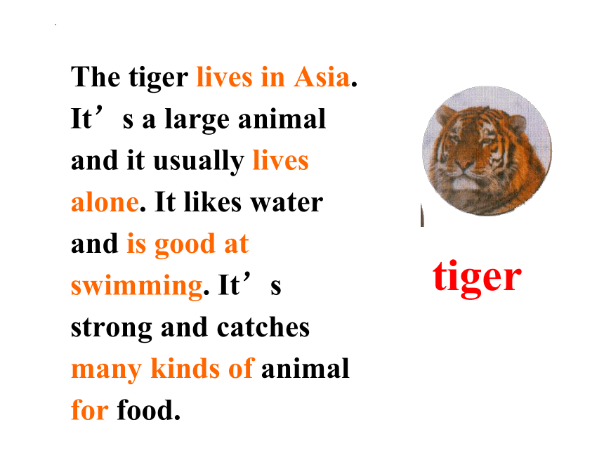 Module 6 A trip to the zoo Unit 3 Language in use.课件