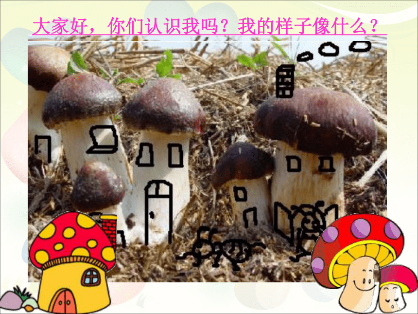 浙美版美术一年级下册 18蘑菇家园 课件(共15张PPT)