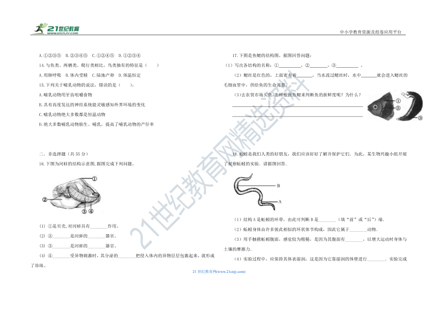 人教版八年级生物 上册 第五单元 第一章 动物的主要类群 单元测试 B卷（含答案）