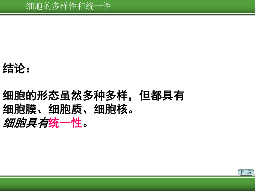 人教版高中生物必修1第一章第2节-细胞的多样性和统一性(69张PPT)