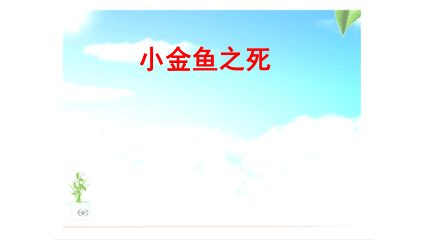 大象版（2001）六年级科学下册3.1 小金鱼之死（课件共17张ppt）