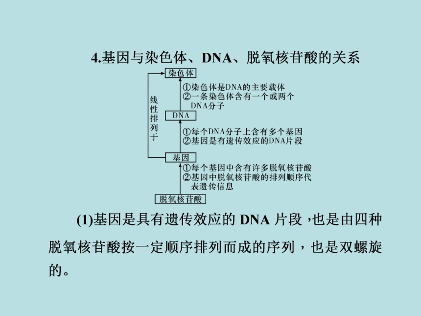 2021届高考二轮复习课件生物专题五遗传的分子基础（85张ppt）