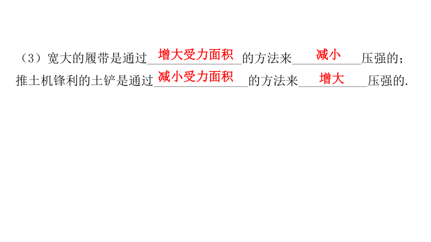 9.1  压   强 习题课课件—2020-2021学年人教版八年级物理下册（28张PPT）