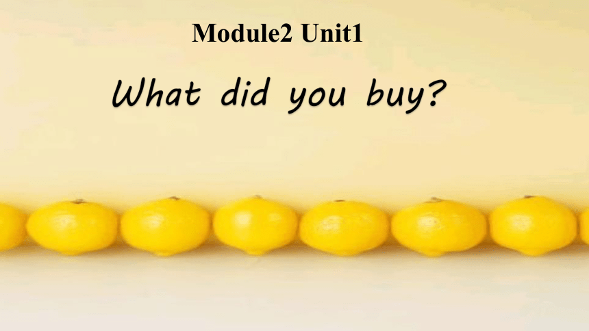 Module 2 Unit 1 What did you buy课件(共25张PPT)