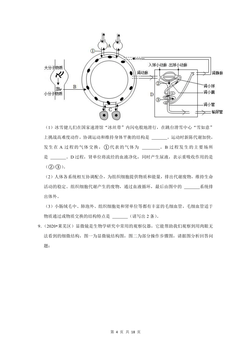 五年山东中考生物真题分类汇编---循环系统（含解析）