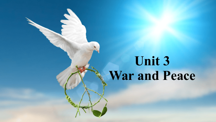 外研版（2019） 选择性必修 第三册 Unit 3 War and peace Presenting ideas课件(共12张PPT)