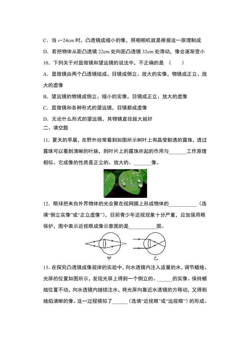 4.6神奇的眼睛当堂训练   2021-2022年沪科版物理八年级上册（含答案）