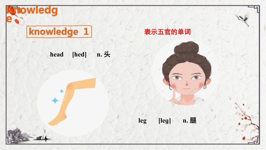 Module 10 Unit 1 This is his head.课件（共17张PPT)