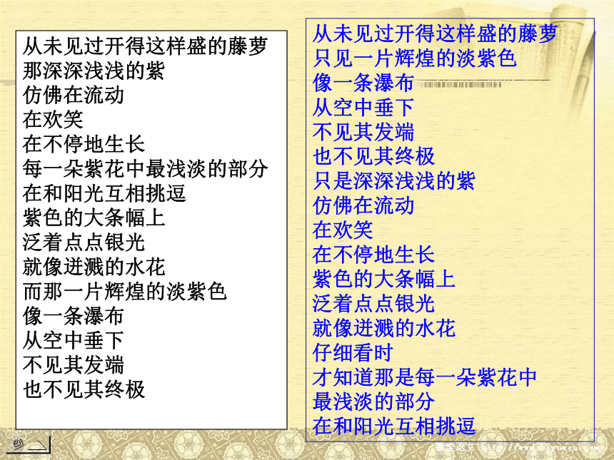 中考作文指导之一枝一叶总关情课件（共19张PPT）