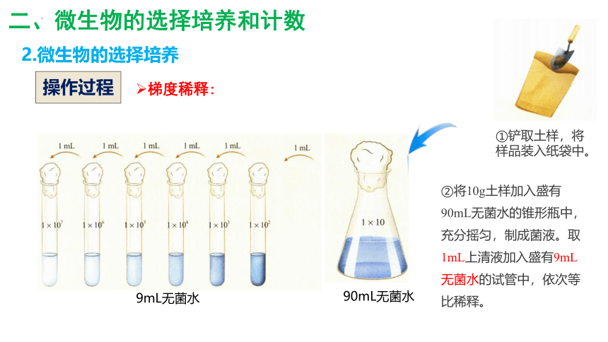 1.2.2微生物的培养技术及应用课件2(共29张PPT)022-2023学年高二下学期生物人教版选择性必修3