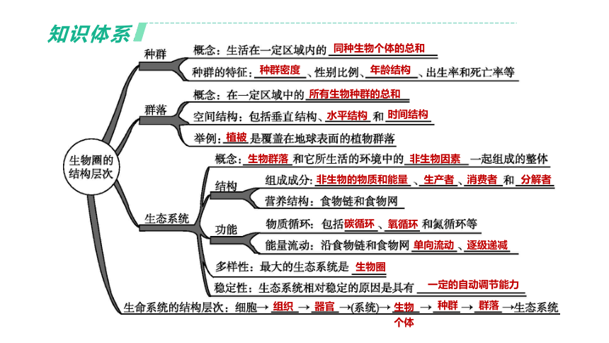 2022年浙江省中考科学一轮复习 第03课时　种群、群落、生态系统和生物圈（课件 46张PPT）