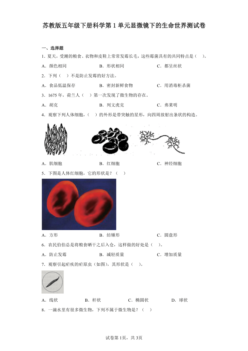 苏教版五年级下册科学第1单元显微镜下的生命世界测试卷（含答案）