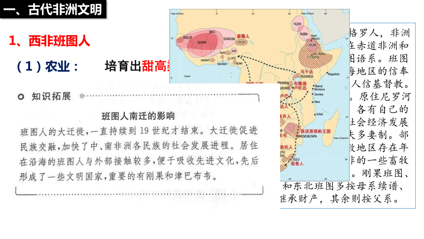 统编版  必修中外历史纲要（下） 第二单元  第5课 古代的非洲与美洲（课件）（共31张PPT）