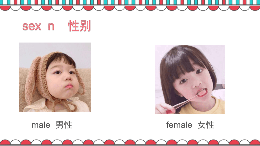 人教版（2019））welcome unit  vocabulary 课件（共14张PPT）