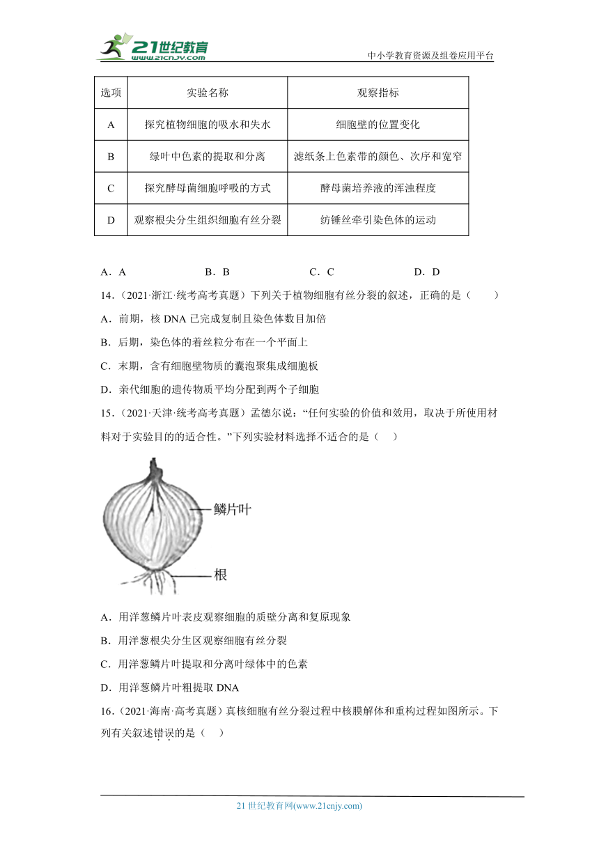 五年2018-2022高考生物真题按知识点分类汇编26-细胞周期与有丝分裂（含解析）