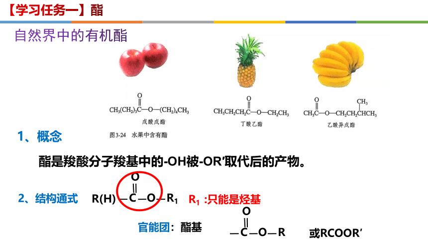 3.4.2 酯-高二化学课件(共16张PPT)（人教版选择性必修3）