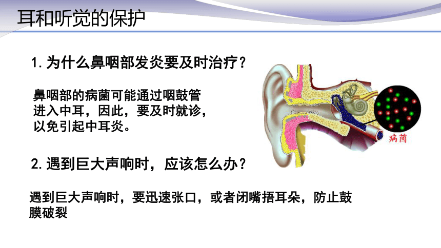 2020-2021学年人教版七年级生物下册4.6.1 人体对外界环境的感知 2 课件（18张PPT）