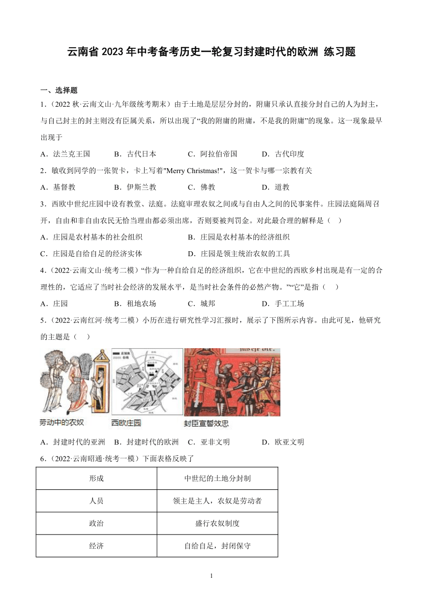 云南省2023年中考备考历史一轮复习封建时代的欧洲 练习题（含解析）