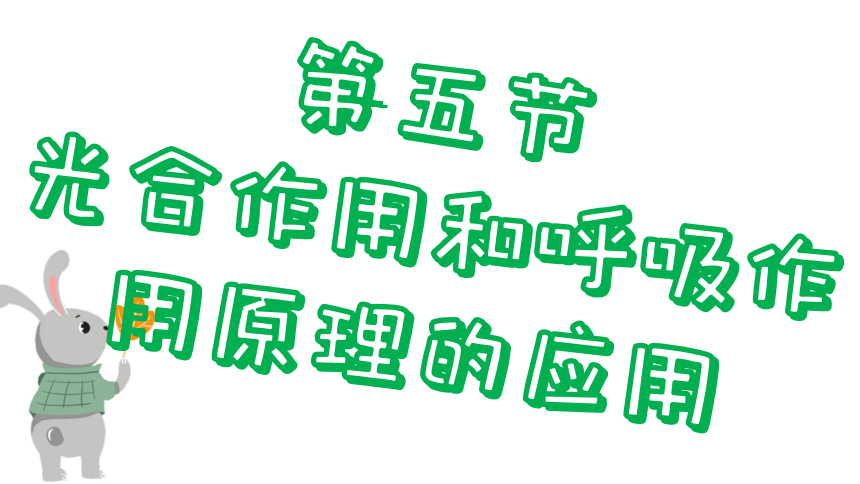 3.6.5  光合作用和呼吸作用原理的应用课件(共22张PPT)2023-2024学年初中生物苏教版七年级上册