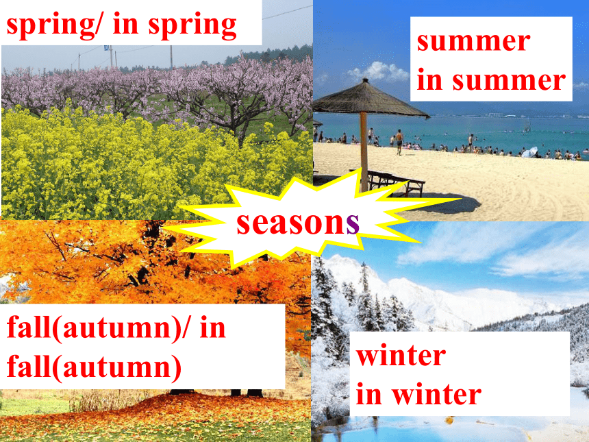 Unit 8 Topic 1  What's the weather like in summer Section A课件(共39张PPT)仁爱版七年级下册