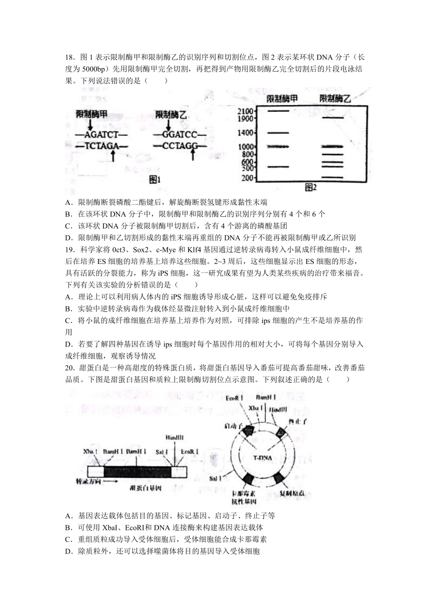 辽宁省鞍山市名校2022-2023学年高二下学期期中考试生物学试题（Word版含答案）