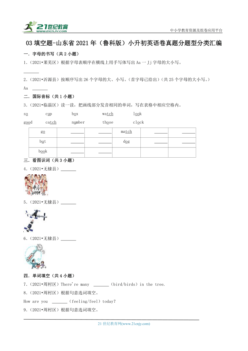 03填空题-山东省2021年（鲁科版）小升初英语卷真题分题型分类汇编（共30题 含答案及解析）