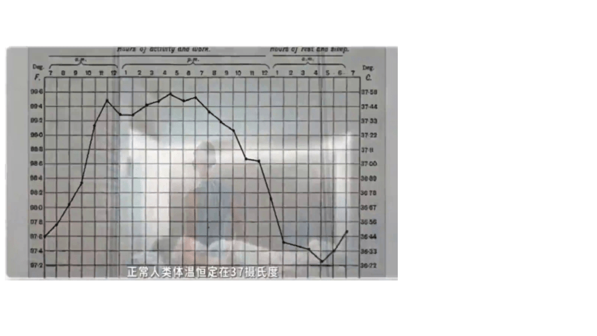 3.5 体温的控制（课件 25张PPT)