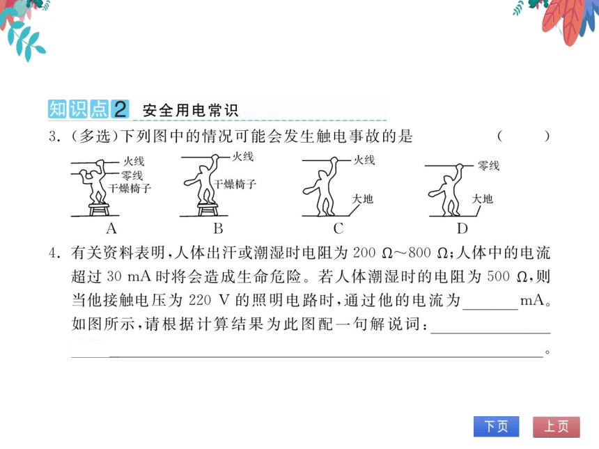 【北师大版】物理九年级全册 13.6 安全用电  习题课件