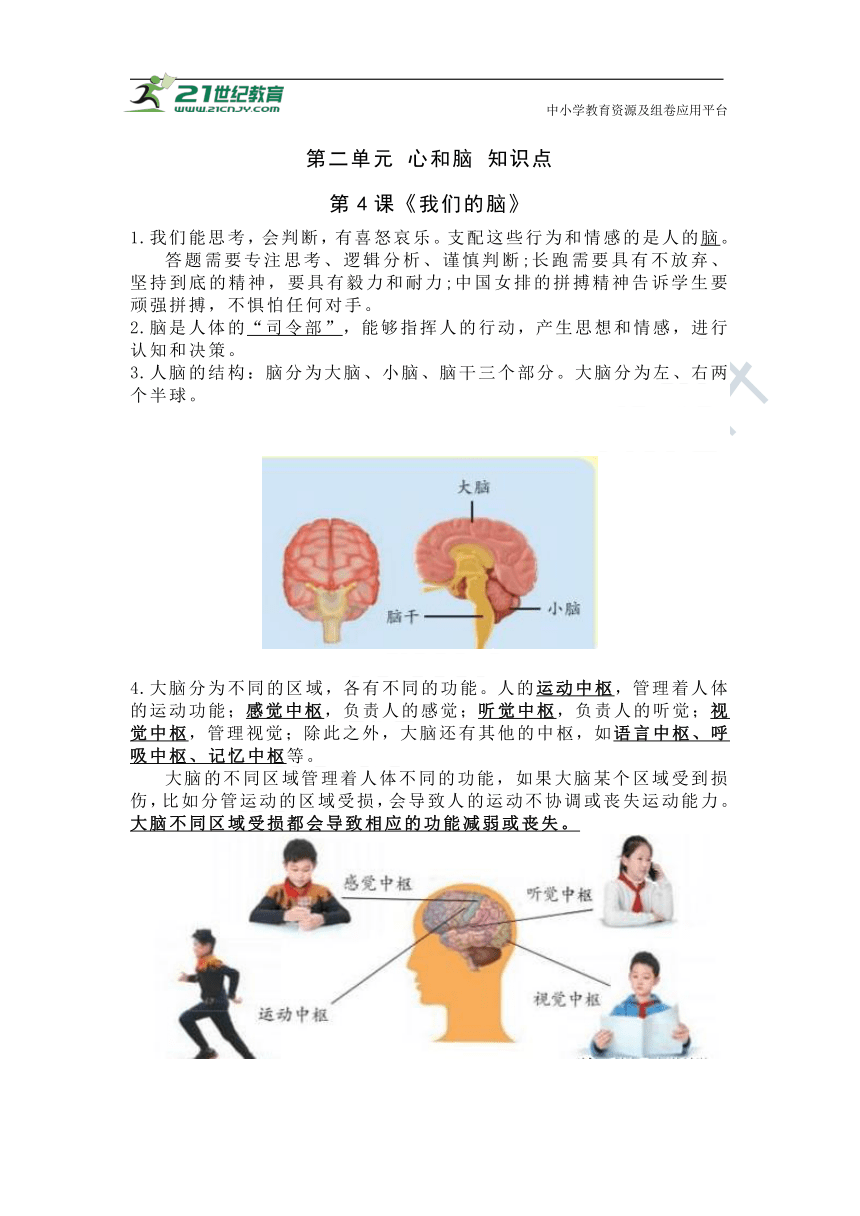 青岛版科学五四制五年级下册 第二单元 心和脑 知识点