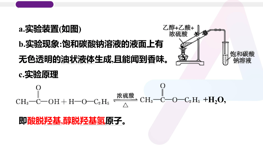 2023年普通高中化学学业水平考试学考复习——专题18　乙醇与乙酸（26张ppt）