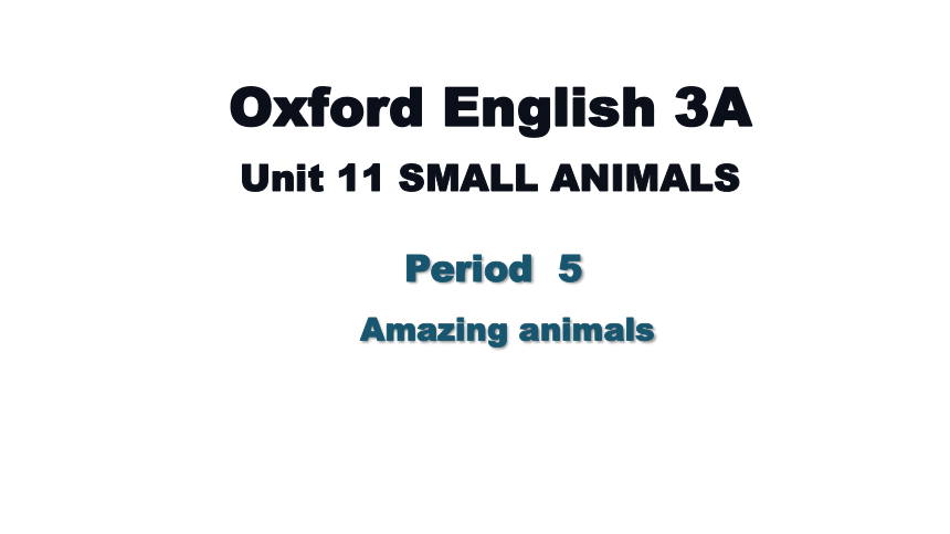 Module 4 Unit 11 Small animals Period 5 课件(共10张PPT)