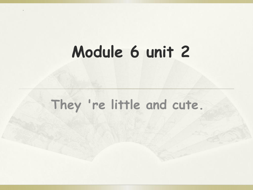 Module 6 They‘re little and cute 课件(共46张PPT)