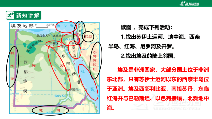 【新课标】7.6  埃及 课件（40页）