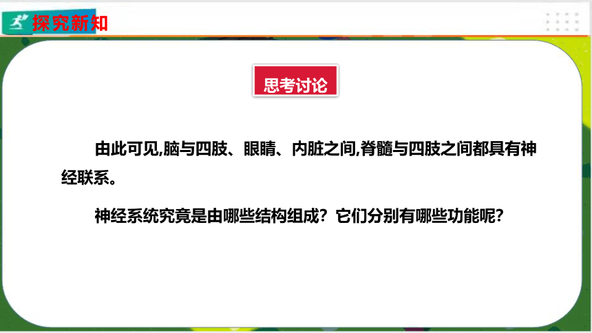 4.6.2神经系统的组成课件(共23张PPT)