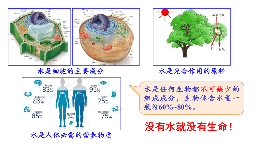 北师大版八年级生物下册 第23章 第1节 生物的生存依赖一定的环境 课件(共27张PPT)