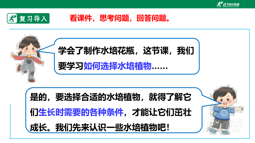 浙教版劳动一年级上项目四 任务二《选种水培植物》课件