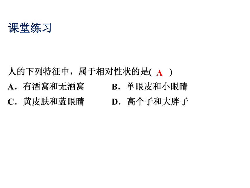 2021-2022学年度北师版八年级生物上册6.20.1 遗传和变异现象课(PPT.17张)