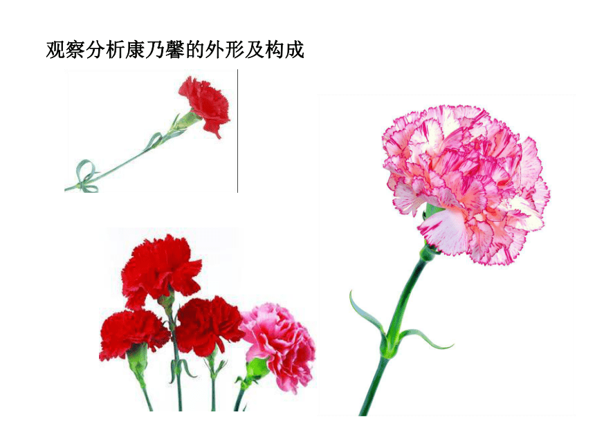 辽海版 四年级下册美术 第6课 母亲节的礼物｜课件（18张PPT）