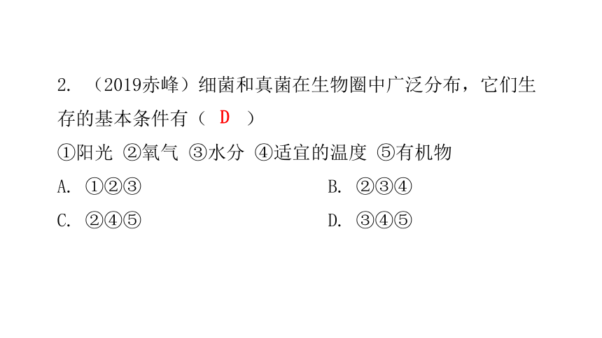 人教版生物八年级上册 第五单元 第四章 细菌和真菌章末总结课件（共39张PPT）