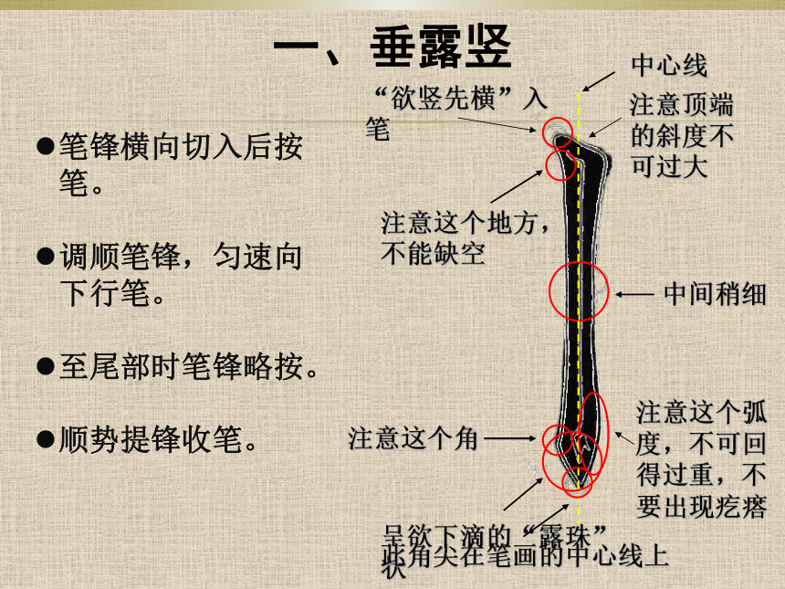 人美版三年级上册书法 3.竖（一） 课件（14张PPT）