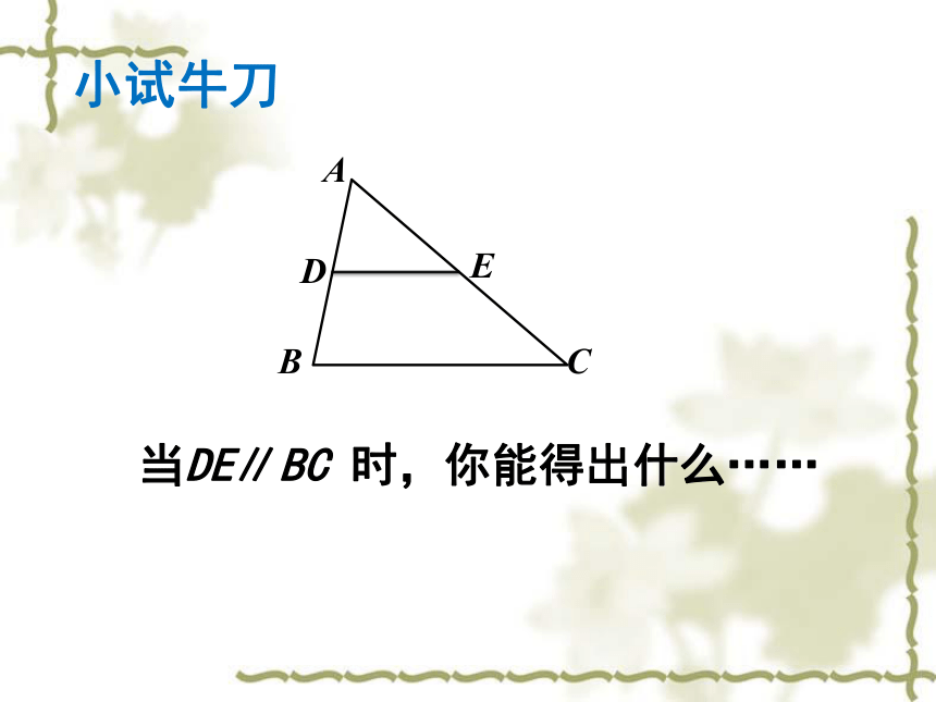 北师大版九年级上册数学 4.5相似三角形判定定理的证明  课件(共19张PPT)