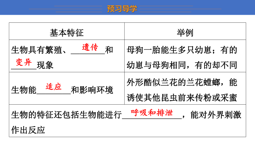 1.1.1 生物与生物学 课件 （共21张PPT）2023-2024学年苏科版生物七年级上册