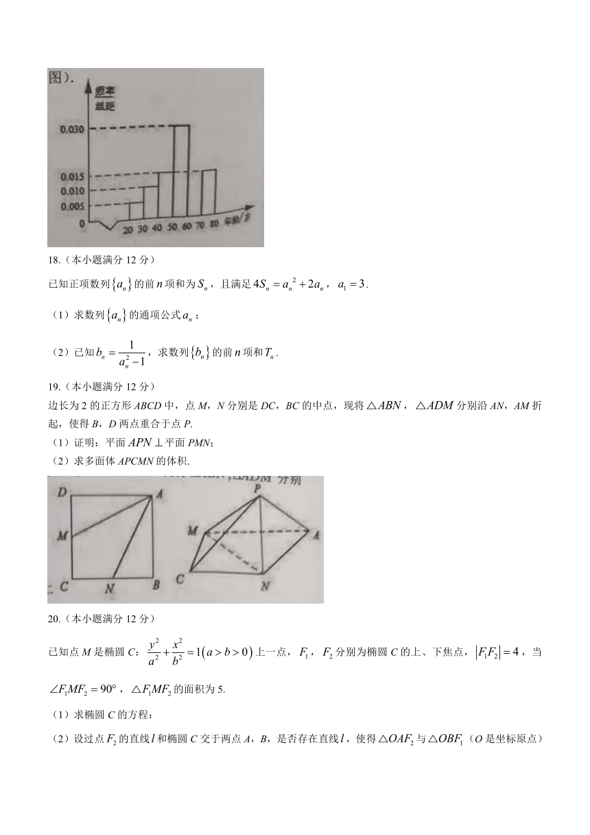 江西省赣州市2022届高三上学期期末考试数学（文）试题（Word版含答案）