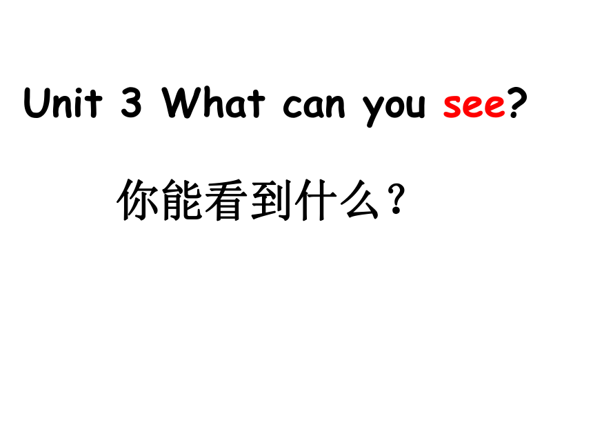 Unit3 What can you see？ 课件（共16张PPT）