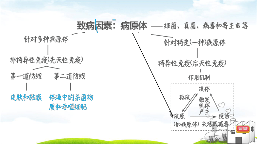 2022年福建中考生物考点突破第30课时　健康地生活（23张PPT）