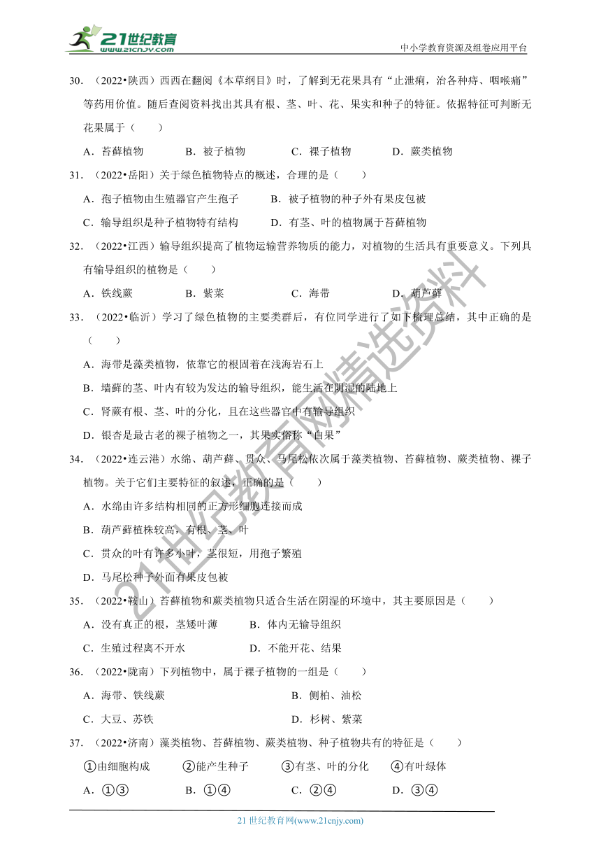 【备考2023】2022年中考生物真题分类汇编12——植物的分类部分（含解析）