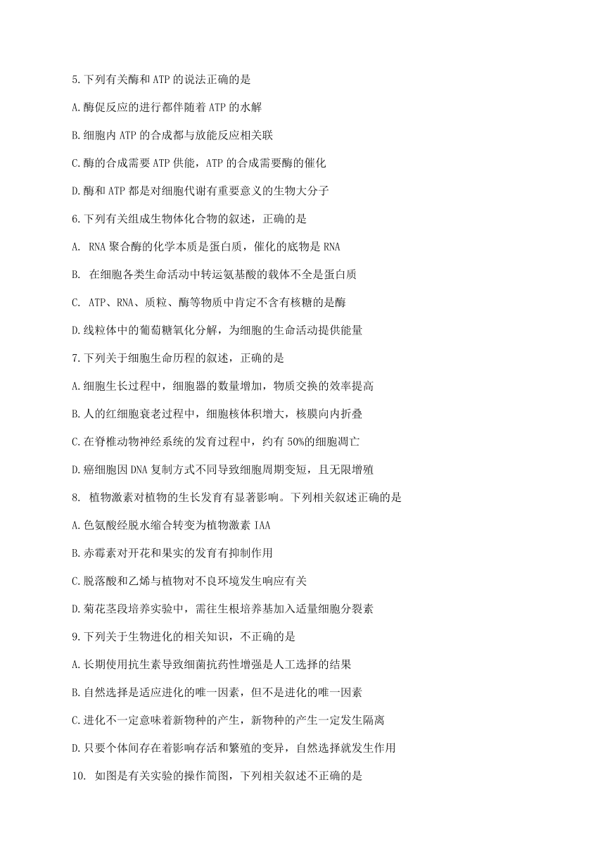 浙江省名校新高考研究联盟（Z20联盟）2021届高三上学期第二次联考（12月）生物试题  含答案