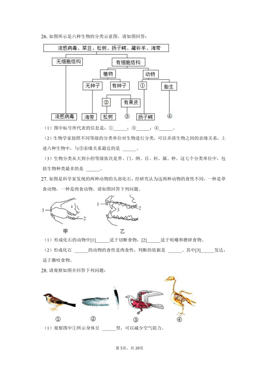 2022-2023学年湖南省邵阳七中八年级（上）期中生物试卷（含解析）