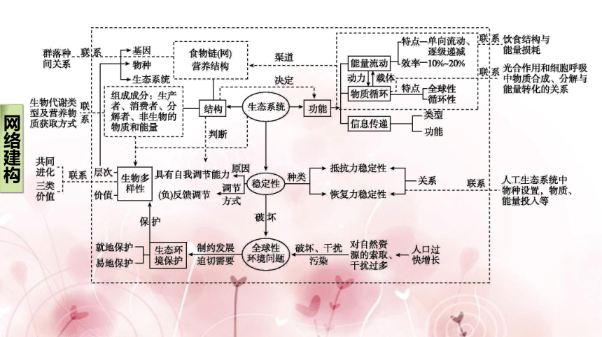 【二轮专题复习课件】第13讲　生态系统及生态环境的保护(共65张PPT)